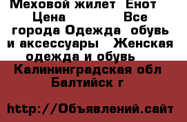 Меховой жилет. Енот. › Цена ­ 10 000 - Все города Одежда, обувь и аксессуары » Женская одежда и обувь   . Калининградская обл.,Балтийск г.